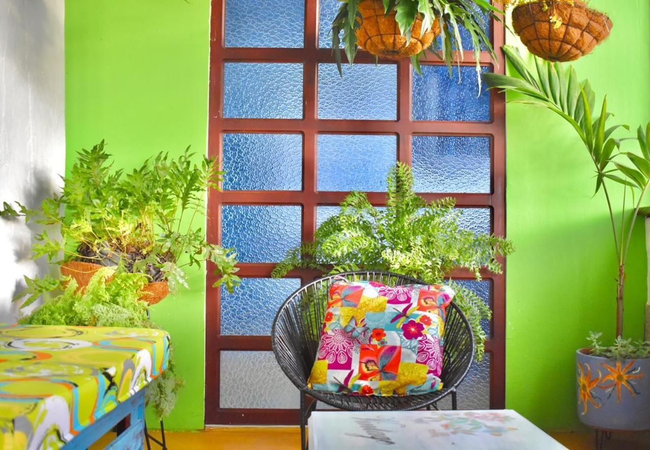 فندق Caicedoniaفي  Arbol Cafe المظهر الخارجي الصورة